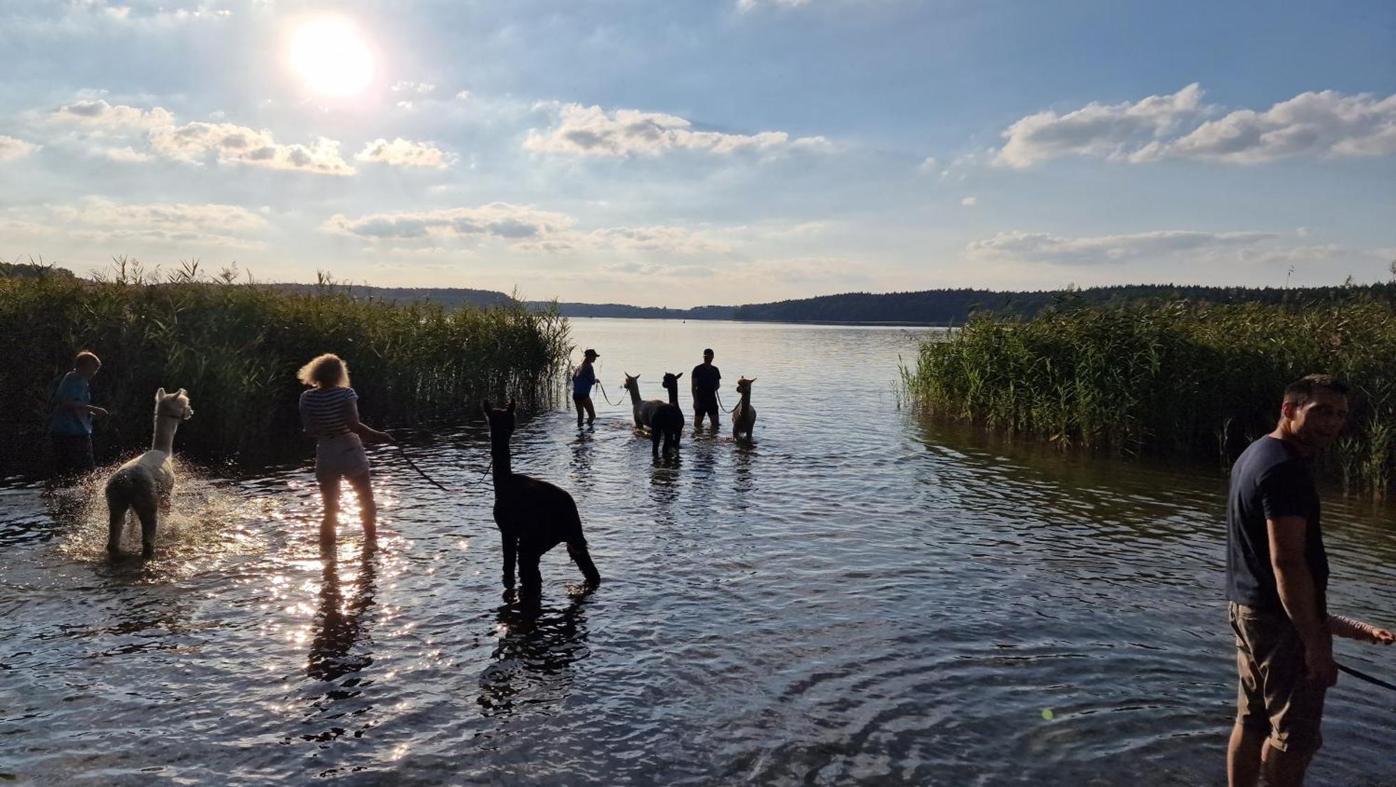 Ferienpark-Canow Екстериор снимка